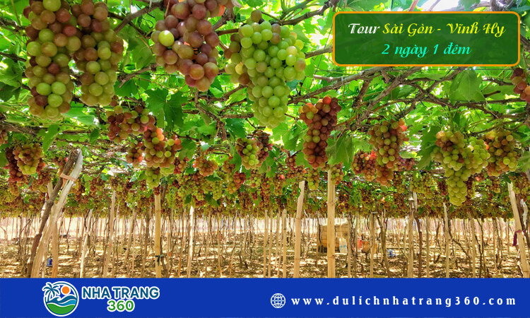 Tour Sài Gòn - Vĩnh Hy 2 ngày 1 đêm
